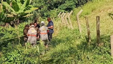 Pai e filha morrem eletrocutados após encostar em cabo de energia caído em trilha de SC