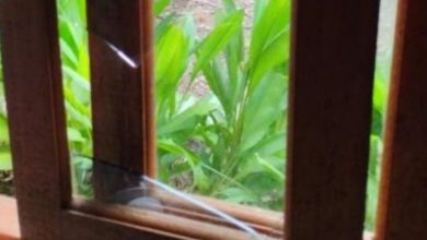 Janela de residência é arrombada em Apiúna e ladrão foge com pistola registrada, munições e pertences