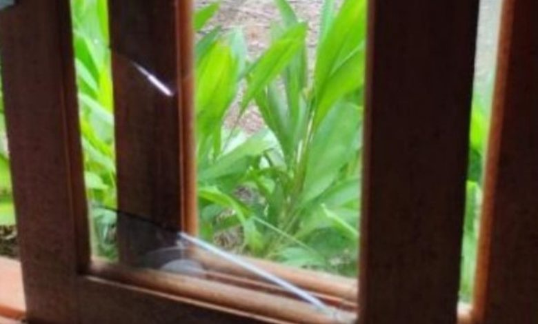 Janela de residência é arrombada em Apiúna e ladrão foge com pistola registrada, munições e pertences