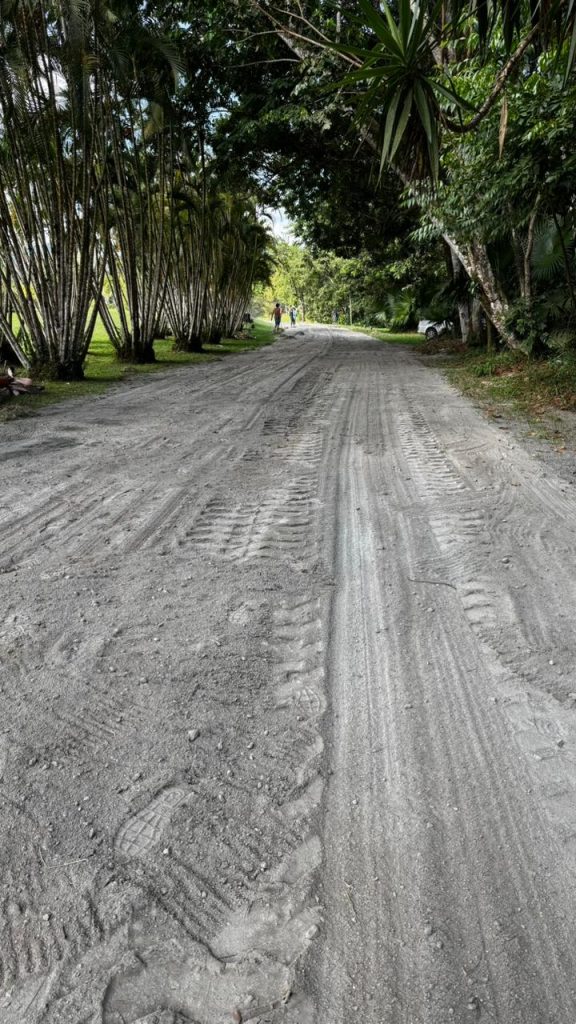 Prefeitura intensifica manutenção no Jardim Botânico de Timbó