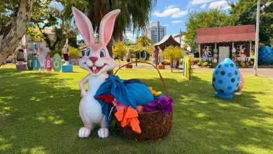 Páscoa em Timbó continua com programação e tem piquenique, Festa das Cores e cinema no parque