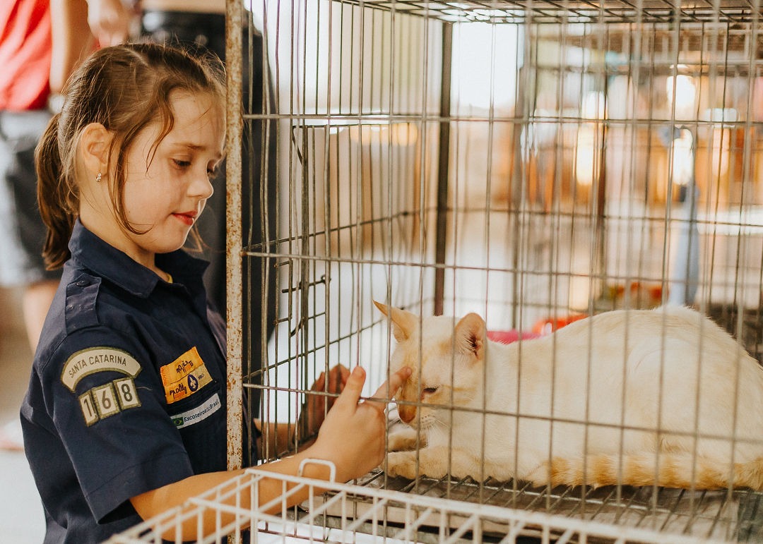 Maior edição já realizada: Feirinha Amigo do Bicho reúne 2 mil pessoas e doa mais de R$ 7 mil para a causa animal