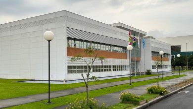 Timbó debate lei que prevê multa de até R$ 1,9 mil por animais soltos nas ruas