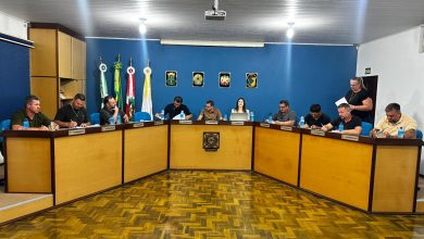 Câmara de Apiúna discute mudanças em leis e apresenta indicações para reforçar segurança em escolas