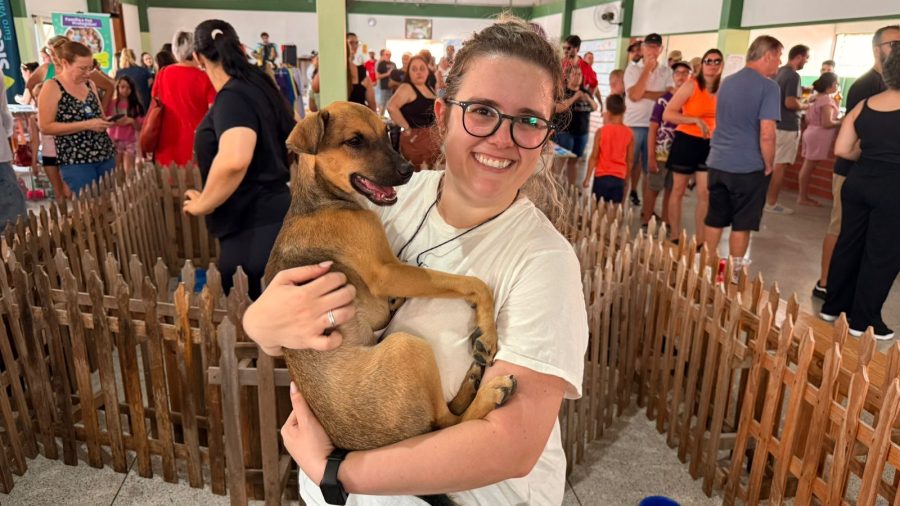 Maior edição já realizada: Feirinha Amigo do Bicho reúne 2 mil pessoas e doa mais de R$ 7 mil para a causa animal