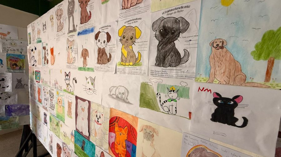 Maior edição já realizada: Feirinha Amigo do Bicho reúne 2 mil pessoas e doa mais de R$ 7 mil para a causa animal