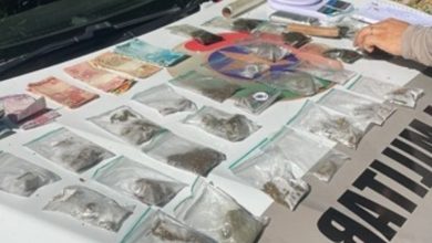 Foi em cana: casa cai para suspeito com quase meio quilo de maconha em Apiúna