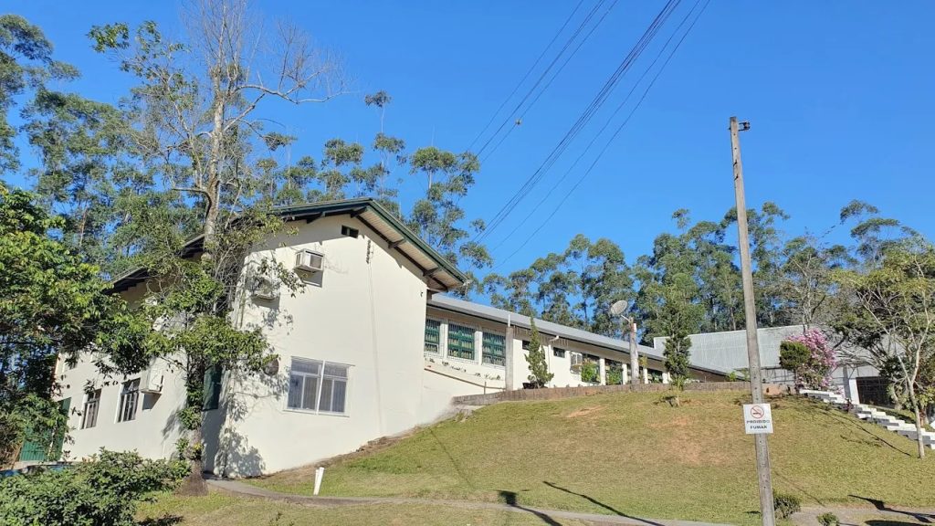 Foto: Reprodução da internet / Jarlan Reis.