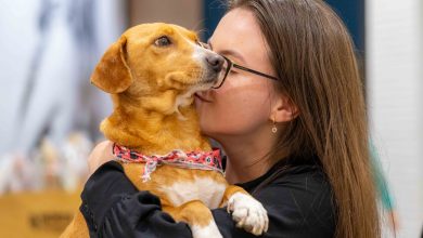 Norte Shopping de Blumenau recebe 