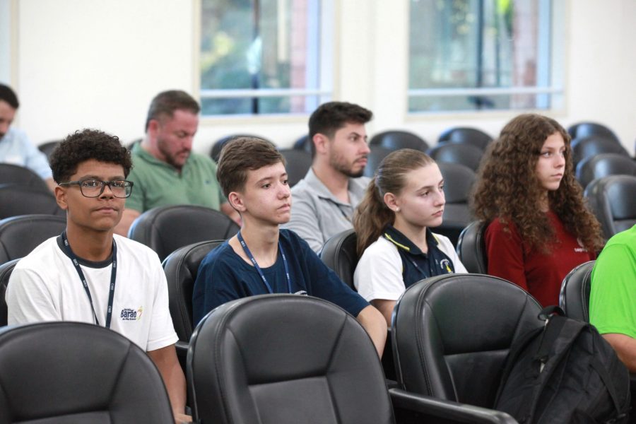 Fim do barulho? Câmara de Blumenau aprova programa para incentivar o uso de fogos silenciosos