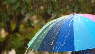 SC terá fim de semana de chuva intensa: duas frentes frias trazem temporais e queda nas temperaturas