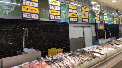 Procon de Timbó divulga preços de pescados para a Semana Santa; veja onde economizar