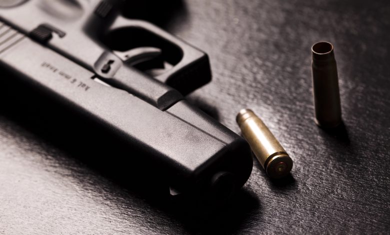 Compra de armas e munições pode ter imposto reduzido em Santa Catarina com novo projeto em análise