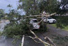 Temporal causa quedas de árvores em Timbó e mobiliza Defesa Civil