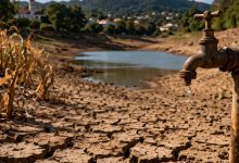 Colapso hídrico: seca força Ibirama a decretar emergência e acende alerta no abastecimento