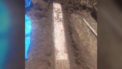 Mistério no quintal: morador encontra caixão com ossada humana enterrado no terreno de casa em SC