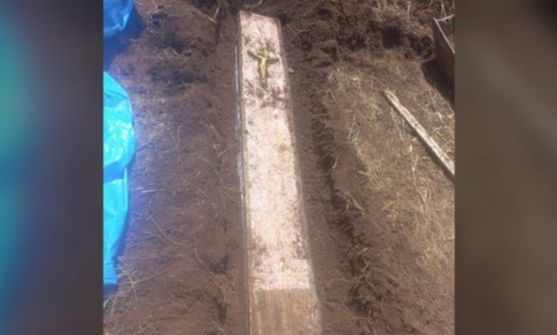 Mistério no quintal: morador encontra caixão com ossada humana enterrado no terreno de casa em SC