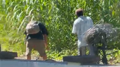 Dupla é detida após invasão e furto de rolo de alumínio em empresa pública de Timbó