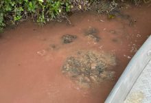 Defesa Civil de Timbó apura suspeita de crime ambiental no Rio Benedito após denúncia