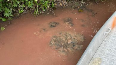 Defesa Civil de Timbó apura suspeita de crime ambiental no Rio Benedito após denúncia