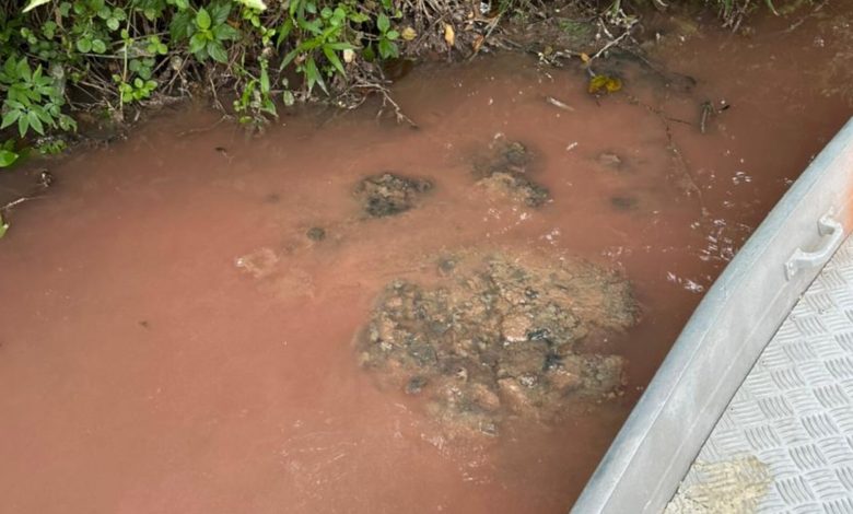 Defesa Civil de Timbó apura suspeita de crime ambiental no Rio Benedito após denúncia