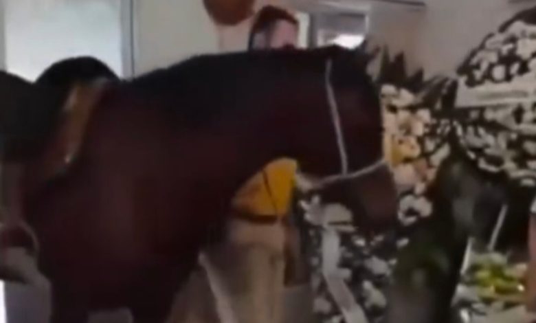 Laço que vai além da vida: égua presta último adeus a tutor em velório em Blumenau