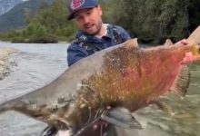 Brusquense fisga raro salmão-rei de 20 kg durante expedição na Patagônia chilena