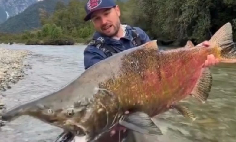 Brusquense fisga raro salmão-rei de 20 kg durante expedição na Patagônia chilena