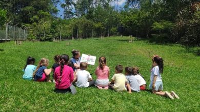 Inscrições do Programa Valor Social da Viacredi seguem até dia 23 com R$ 1 milhão destinado a projetos