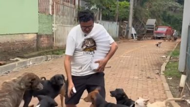 Páscoa é celebrada com gesto de solidariedade e cuidado ao próximo por voluntários. Foto: Reprodução / @protetormarciors.