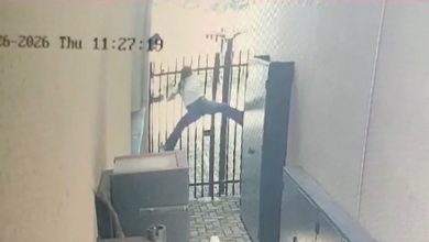 Susto com lagarto faz moradora escalar portão e viraliza nas redes