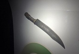 Foto: Reprodução / Polícia Militar de Benedito Novo.