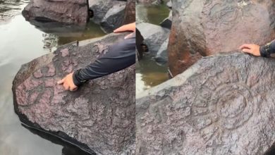 Descoberta inesperada: pescador encontra inscrições rupestres antigas durante expedição de pesca
