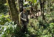 Entrada gratuita, mas nem todo mundo encara: Museu de Terror em Canela desafia os mais corajosos