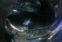 Mulher de 56 anos fica gravemente ferida após ser atropelada na BR-470, em frente à Havan de Indaial