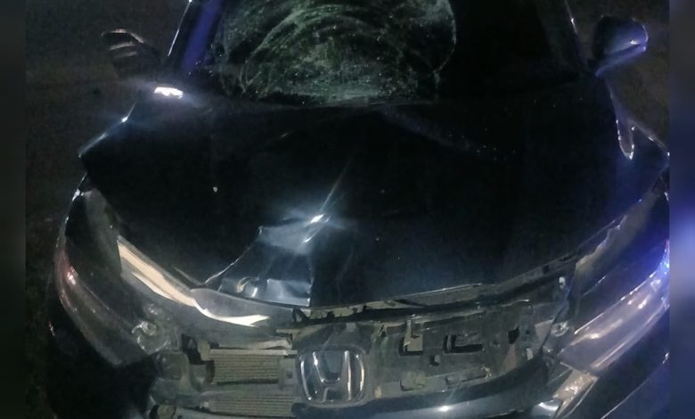 Mulher de 56 anos fica gravemente ferida após ser atropelada na BR-470, em frente à Havan de Indaial