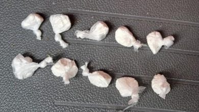 Uso de celular ao volante termina com motorista preso por tráfico de drogas durante abordagem em Timbó