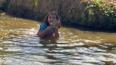 Menina encanta ao pescar peixe com as próprias mãos em rio de Minas Gerais