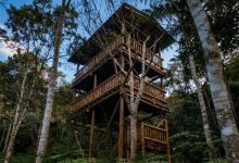 Jardim Botânico de Rio do Sul ganha nova torre de observação de aves e fortalece projeto de turismo ambiental