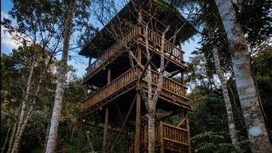 Jardim Botânico de Rio do Sul ganha nova torre de observação de aves e fortalece projeto de turismo ambiental