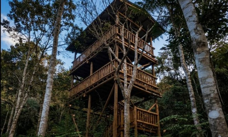 Jardim Botânico de Rio do Sul ganha nova torre de observação de aves e fortalece projeto de turismo ambiental