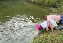 Peixe “vence” pescador: vara quebra, homem se joga em lago e cena viraliza