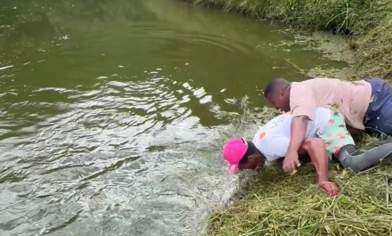 Peixe “vence” pescador: vara quebra, homem se joga em lago e cena viraliza