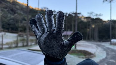Frio chega com força em SC: temperaturas despencam e madrugada pode ter mínima de até 2°C