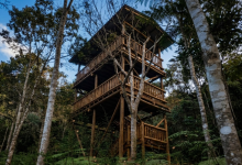 Jardim Botânico de Rio do Sul ganha nova torre de observação de aves e fortalece projeto de turismo ambiental