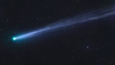 Pegue o binóculo: cometa com “cauda brilhante” ainda pode ser visto no céu de maio