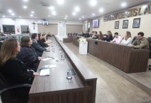 Câmara de Blumenau reúne autoridades e fortalece rede de combate à violência contra crianças e adolescentes