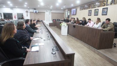 Câmara de Blumenau reúne autoridades e fortalece rede de combate à violência contra crianças e adolescentes
