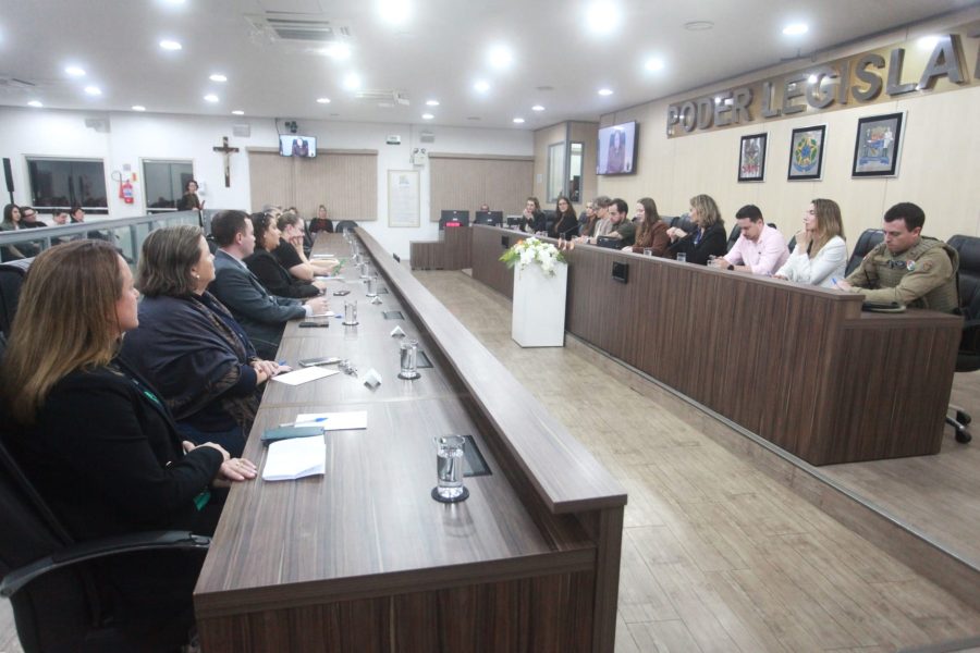 Câmara de Blumenau reúne autoridades e fortalece rede de combate à violência contra crianças e adolescentes
