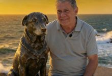 Crime que chocou SC vira símbolo: Praia Brava terá estátua em homenagem ao cão Orelha